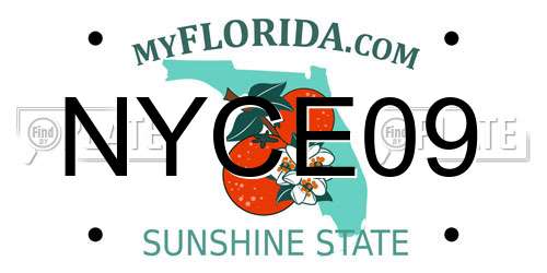 NYCE09 Florida License Plate