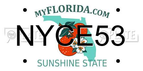NYCE53 Florida License Plate