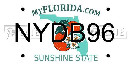 NYDB96 Florida License Plate