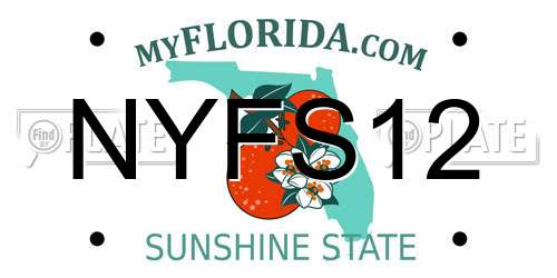 NYFS12 Florida License Plate