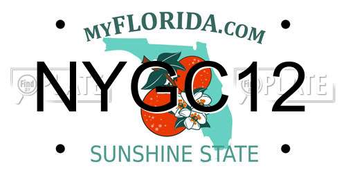 NYGC12 Florida License Plate