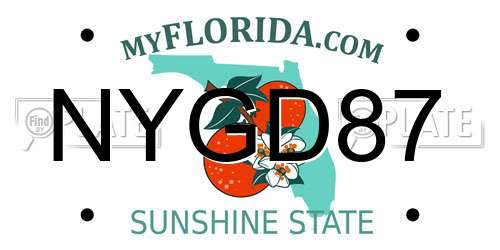 NYGD87 Florida License Plate