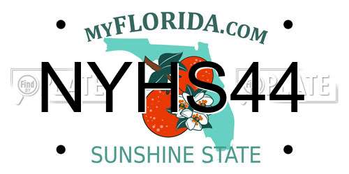 NYHS44 Florida License Plate