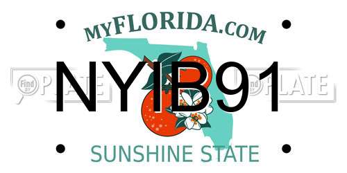 NYIB91 Florida License Plate