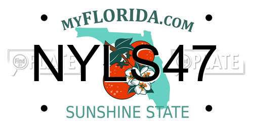 NYLS47 Florida License Plate