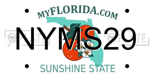 NYMS29 Florida License Plate
