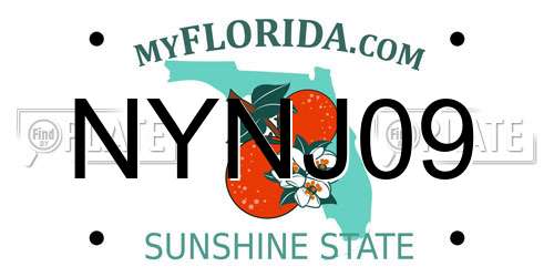 NYNJ09 Florida License Plate