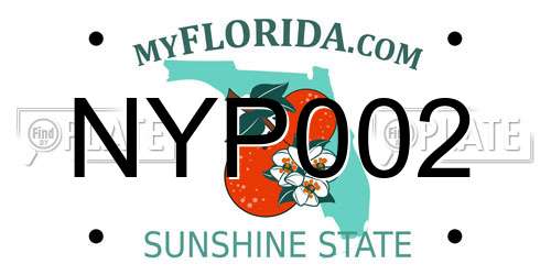 NYP002 Florida License Plate