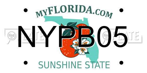 NYPB05 Florida License Plate