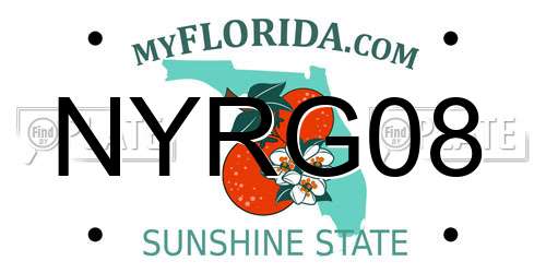 NYRG08 Florida License Plate