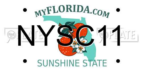 NYSC11 Florida License Plate