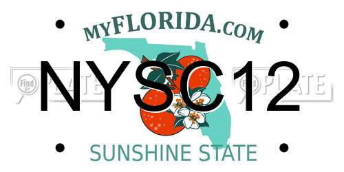 NYSC12 Florida License Plate