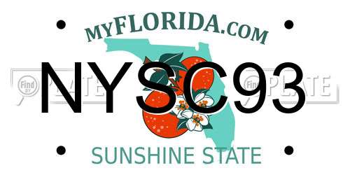 NYSC93 Florida License Plate