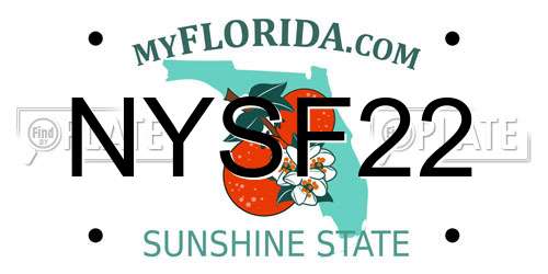NYSF22 Florida License Plate