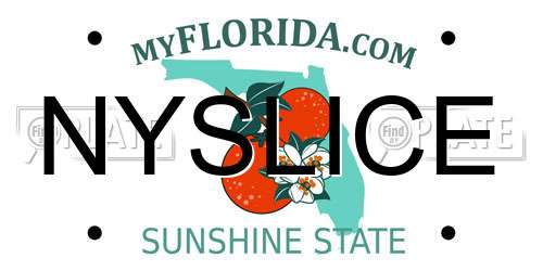 NYSLICE Florida License Plate
