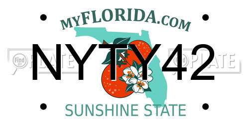 NYTY42 Florida License Plate