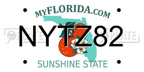 NYTZ82 Florida License Plate