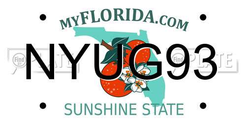 NYUG93 Florida License Plate