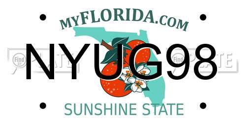 NYUG98 Florida License Plate