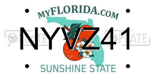 NYVZ41 Florida License Plate