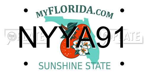 NYYA91 Florida License Plate