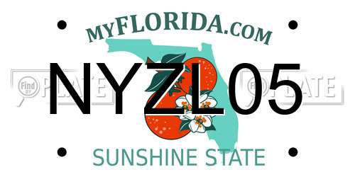NYZL05 Florida License Plate