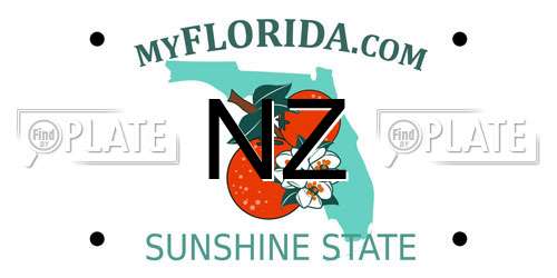 NZ Florida License Plate