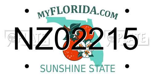 NZ02215 Florida License Plate