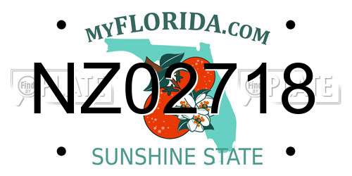 NZ02718 Florida License Plate