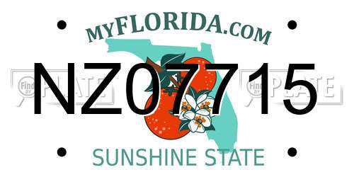 NZ07715 Florida License Plate