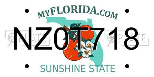 NZ0T718 Florida License Plate