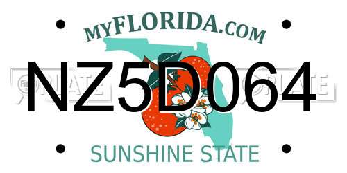 NZ5D064 Florida License Plate