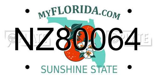 NZ80064 Florida License Plate