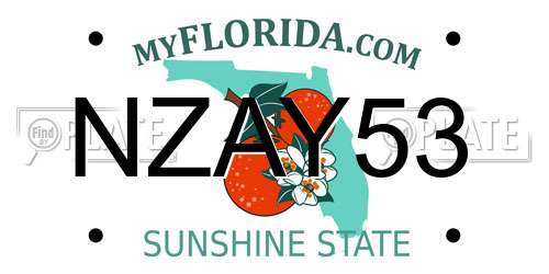 NZAY53 Florida License Plate
