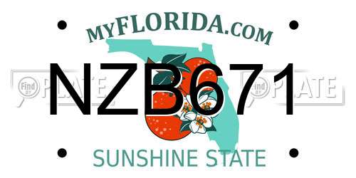 NZB671 Florida License Plate