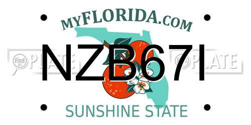 NZB67I Florida License Plate