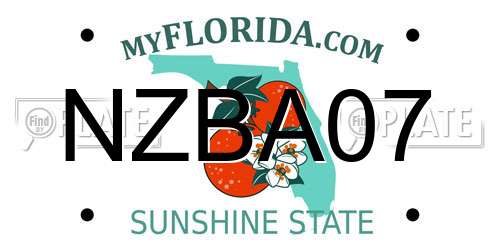 NZBA07 Florida License Plate