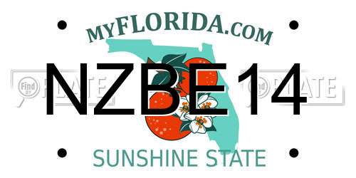 NZBE14 Florida License Plate