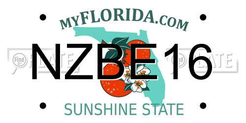 NZBE16 Florida License Plate
