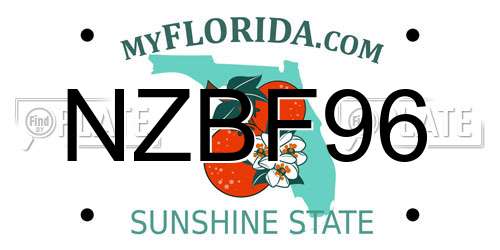 NZBF96 Florida License Plate