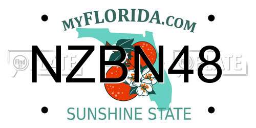 NZBN48 Florida License Plate
