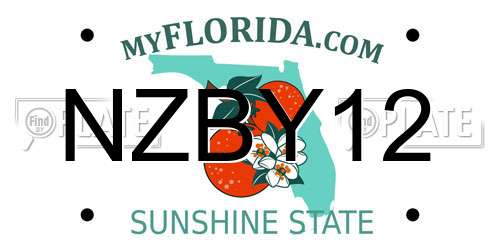 NZBY12 Florida License Plate