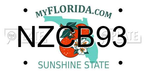 NZCB93 Florida License Plate