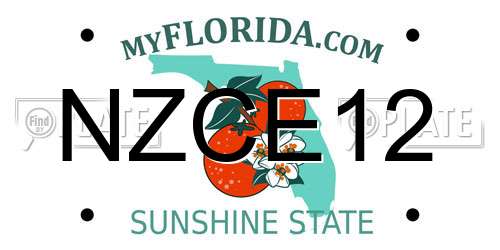 NZCE12 Florida License Plate