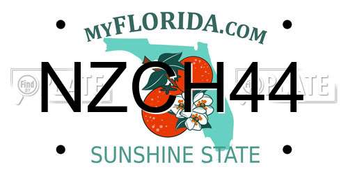 NZCH44 Florida License Plate