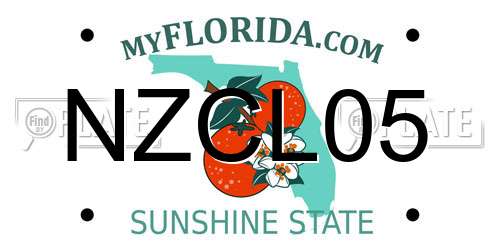 NZCL05 Florida License Plate