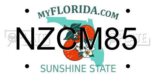 NZCM85 Florida License Plate