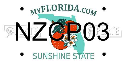 NZCP03 Florida License Plate
