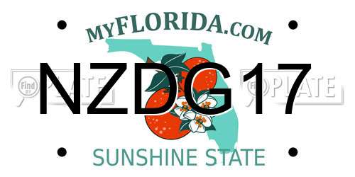 NZDG17 Florida License Plate