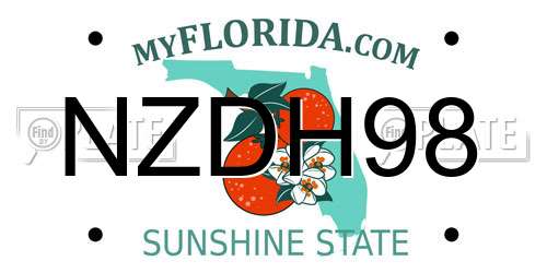 NZDH98 Florida License Plate